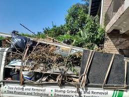 Best Same-Day Junk Removal Services  in Shenandoah, VA