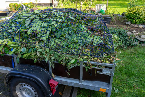 Best Hoarding Cleanup  in Shenandoah, VA